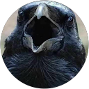 Jack B. profile picture