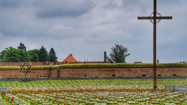 Terezin Day Tour from Prague with Prague Pulse Tours (1) (1)